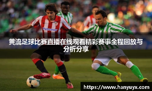 辉达娱乐官网