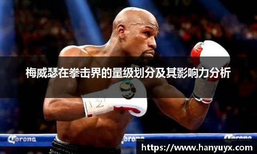 梅威瑟在拳击界的量级划分及其影响力分析